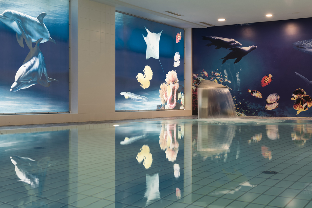 Maritim Hotel proArte Berlin Schwimmbad