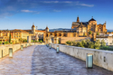 Stolzes Andalusien / mix